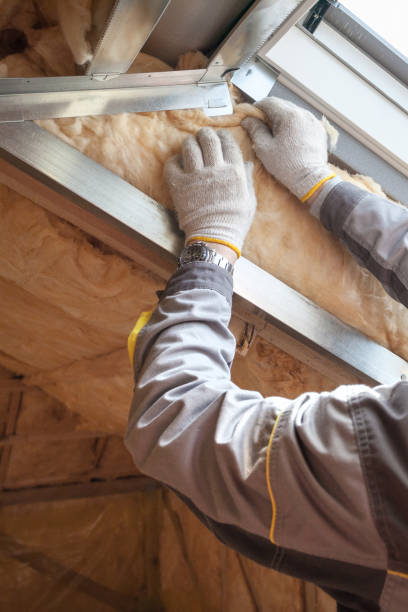 Best Commercial Insulation in Forest City, IA