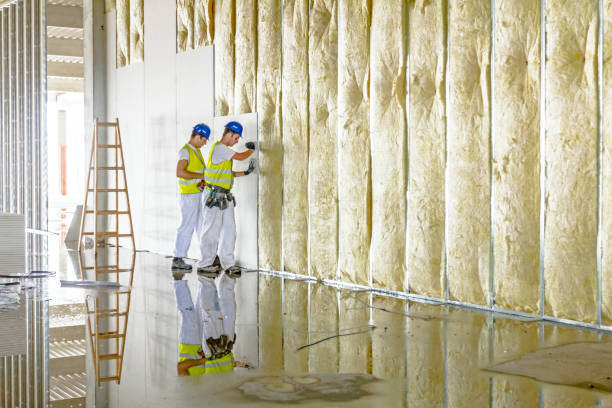 Best Fiberglass Insulation in Forest City, IA